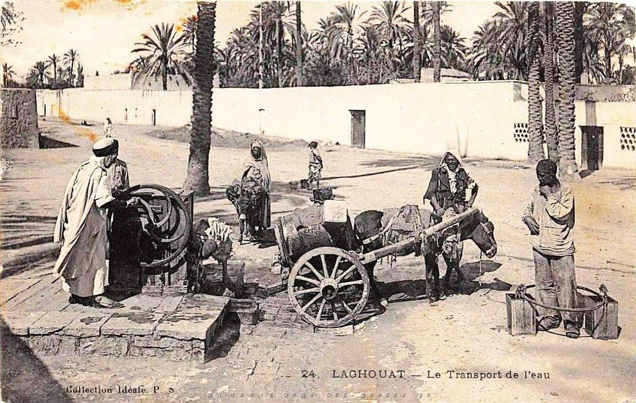 Laghouat - Transport de l'eau.jpg